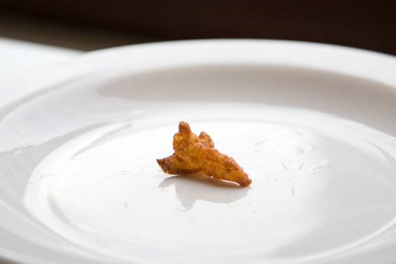 Printed Shuttle Scallop