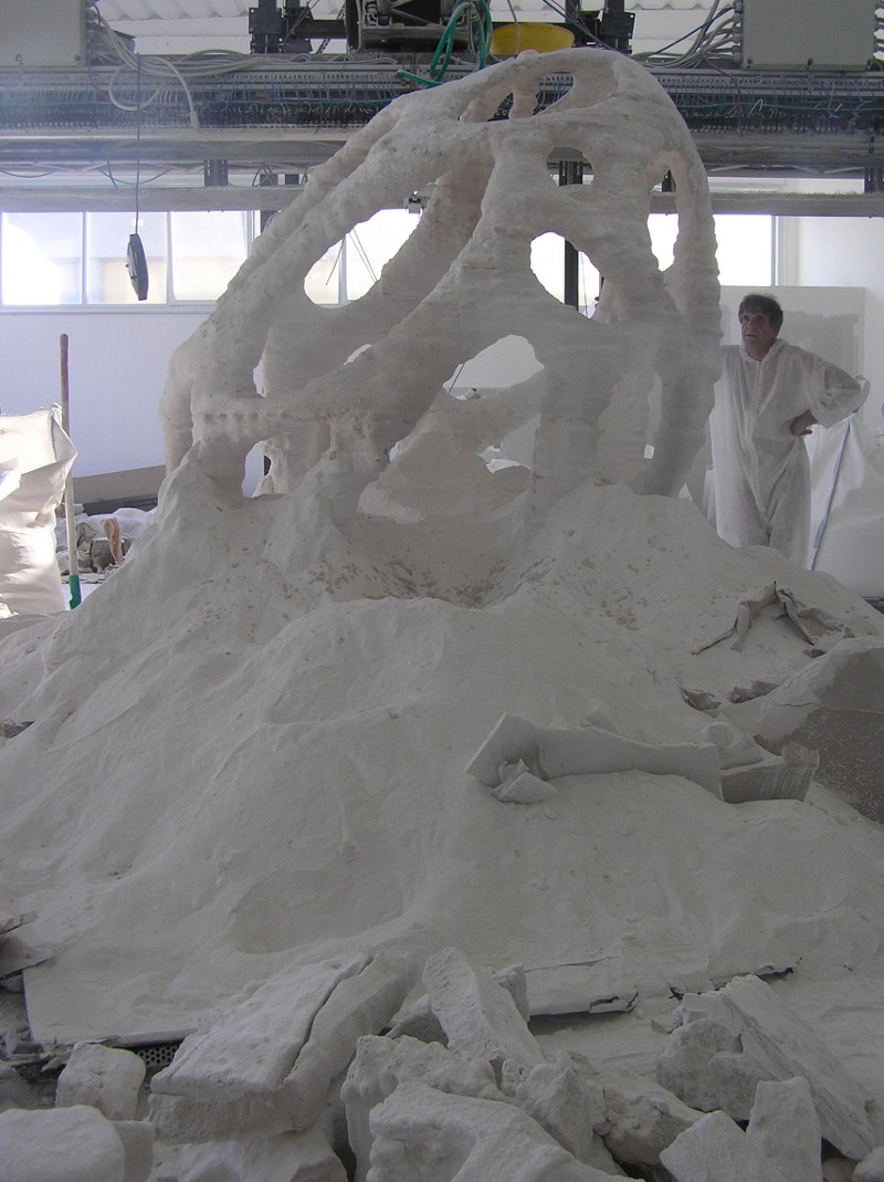 Radiolaria during the excavation stage.