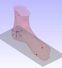 Scanned Foot