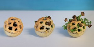 Edible-Growth-by-Chloe-Rutzerveld_dezeen_05_644
