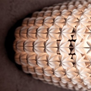 armadillo-applique