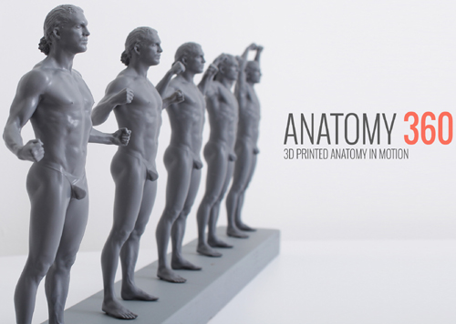 3D printed models from Anatomy 360 could be used as reference by artists. Courtesy of Anatomy 360.