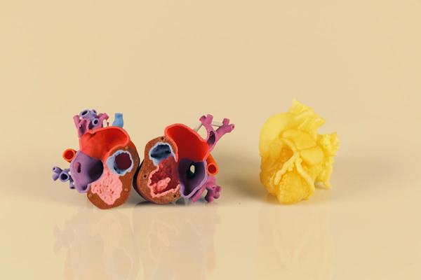 cjp_mjp-heart-photo