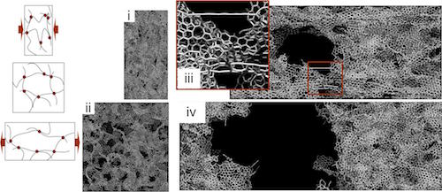 Simulation results of tensile and compression tests on 3D graphene created at MIT. Image Courtesy of Zhao Qin/MIT 