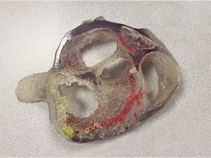 Caterpillar 3D Printed Heart