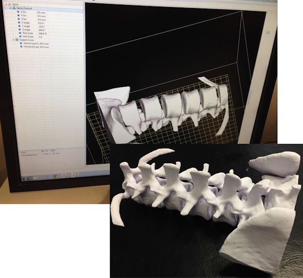 An on-screen model becomes a three-dimensional model via the Mcor IRIS 3D printer. Image courtesy of Williams 3D.