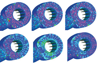 Fig. 10: Montage of mesh quality results.