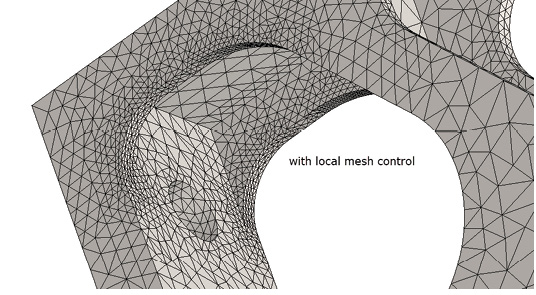 Fig. 10: Local mesh control.