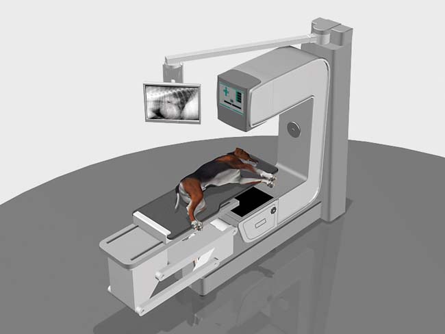 NI&rsquo;s LabVIEW and CompactRIO Help Veterinary Equipment Supplier Develop Three-in-One Imaging System