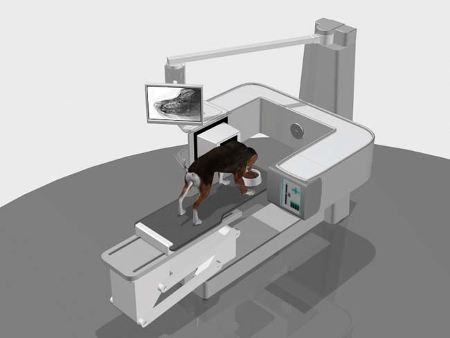 NI’s LabVIEW and CompactRIO Help Veterinary Equipment Supplier Develop Three-in-One Imaging System