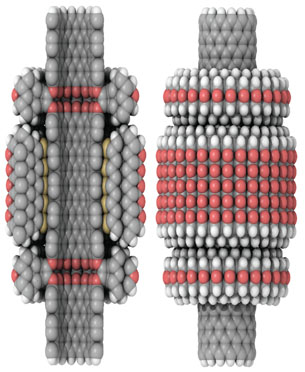 Nanotechnology Enables Real Atomic Precision