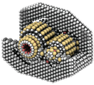 Nanotechnology Enables Real Atomic Precision