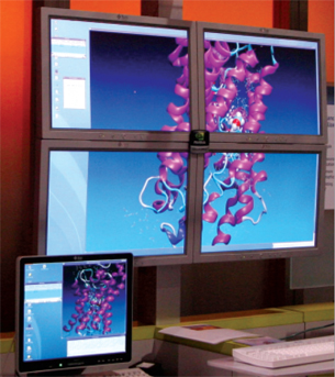 This multiscreen Sun machine used multiple GPUs to compute the inter-atomic forces that govern the dynamics of how certain materials pass through cell membranes.