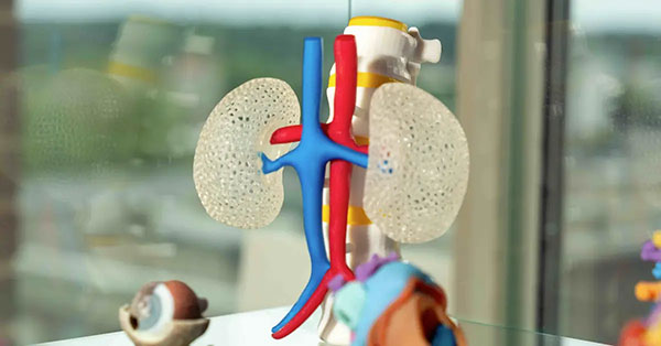Ricoh Launches Ricoh 3D for Healthcare