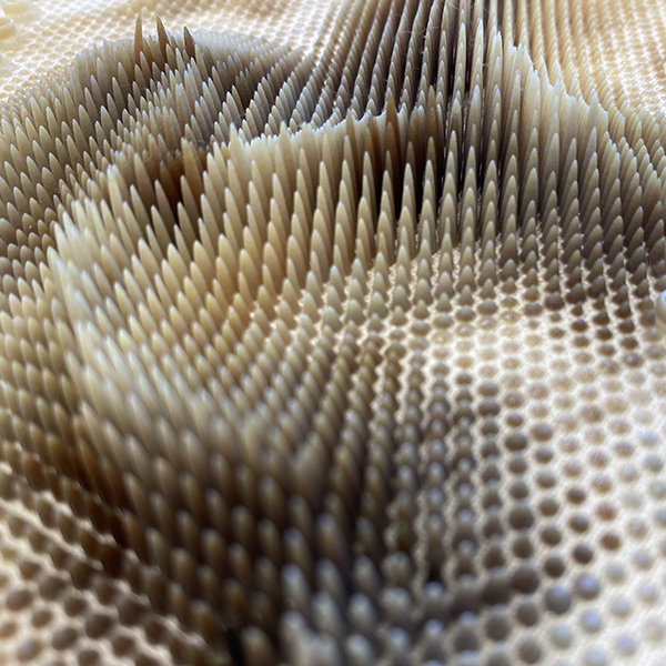 Designer Julia Koerner Unveils a New 3D-Printed Jacket