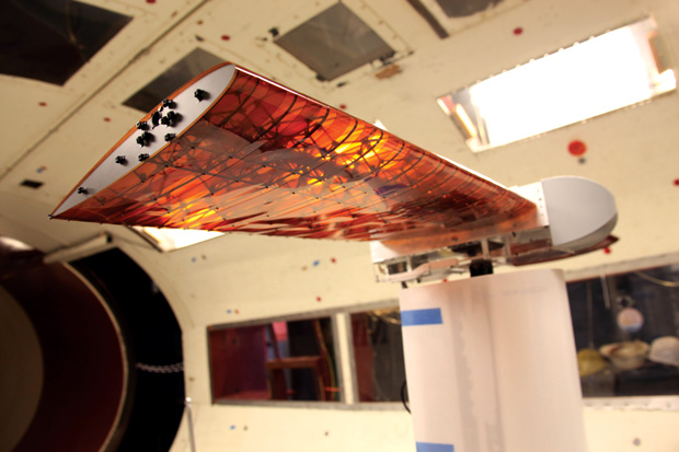 Morphing Wing Design Lays Groundwork for Soft Robotics