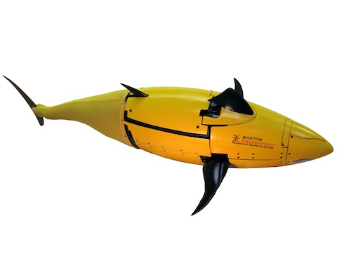 Tuna Robot Navigates Biomimicry Waters