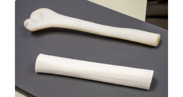 3D-Printed Femurs to Help Improve Biomechanical Studies