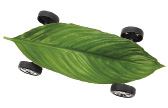 Following Nature’s Lead: Engineering Solutions Balancing Performance & Efficiency