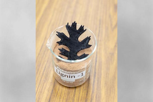 Oak Ridge Creates Renewable Composite Material with Lignin