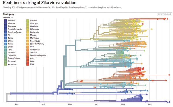 Nextstrain is an open-source project to harness the scientific and public health potential of pathogen genome data, for example to track and visualize the evolution of the Zika virus in real-time. One visualization example is shown here. Image courtesy of nextstrain.org.