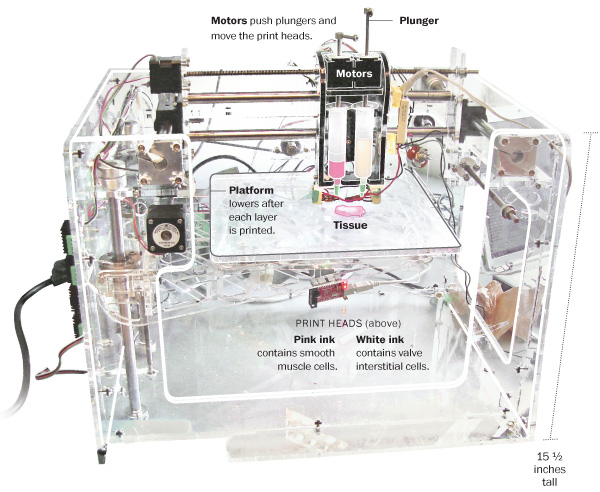 Bioprinting is the Additive Manufacturing of Medical Science