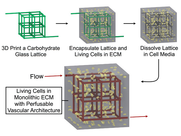Bioprinting with Sugar