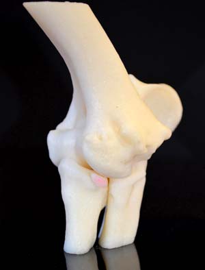 3D Printing is the Vet’s New Best Friend
