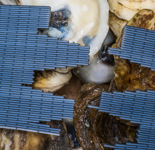 MIT 3D Prints Bone