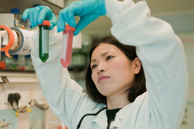 Eat Your Greens with Algae Bioprinter