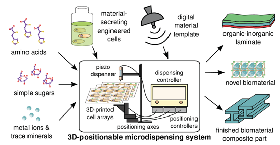NASA Invests $100,000 in Bioprinting