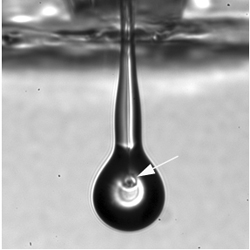 3D Printing Could Lead to a Cure for Blindness