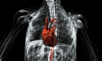 3D Printed Heart Pump Could Help Save Lives