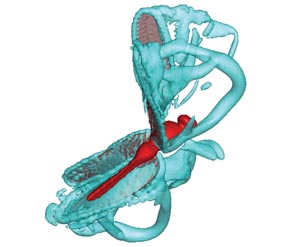 Tecplot Provides a View to MAV Flight