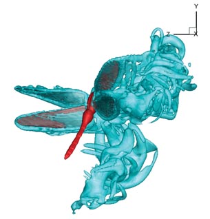 Tecplot Provides a View to MAV Flight